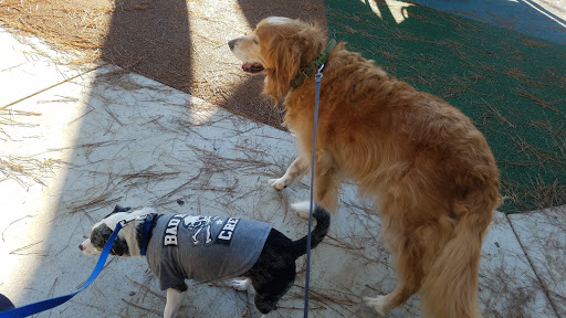 Park «Medal of Honor Park», reviews and photos, 1711 Hillcrest Rd, Mobile, AL 36609, USA