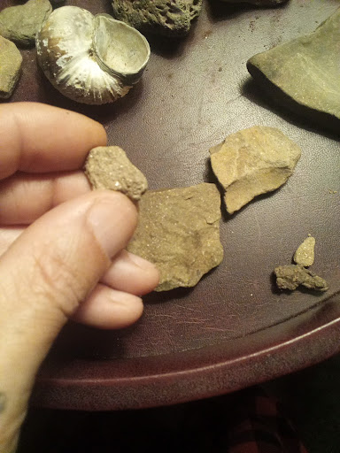 Photo of Tomayko Electric