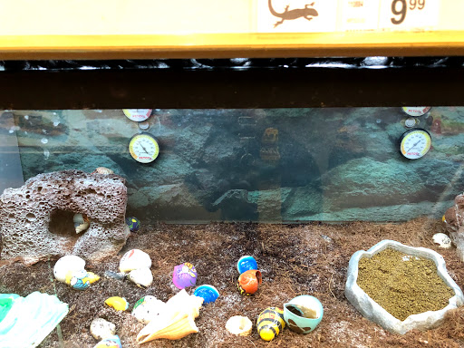 Pet Supply Store «Petco Animal Supplies», reviews and photos, 3975 Cascades Blvd #30, Kent, OH 44240, USA