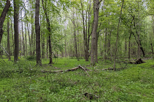 Phillips Park Trailhead