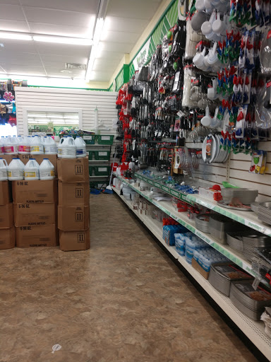 Dollar Store «Dollar Tree», reviews and photos, 8491 Grand River Ave, Brighton, MI 48116, USA