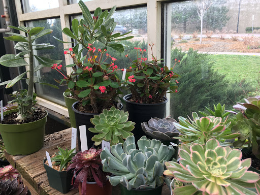 Plant Nursery «Sturtz & Copeland Florist & Greenhouses», reviews and photos, 2851 Valmont Rd, Boulder, CO 80301, USA