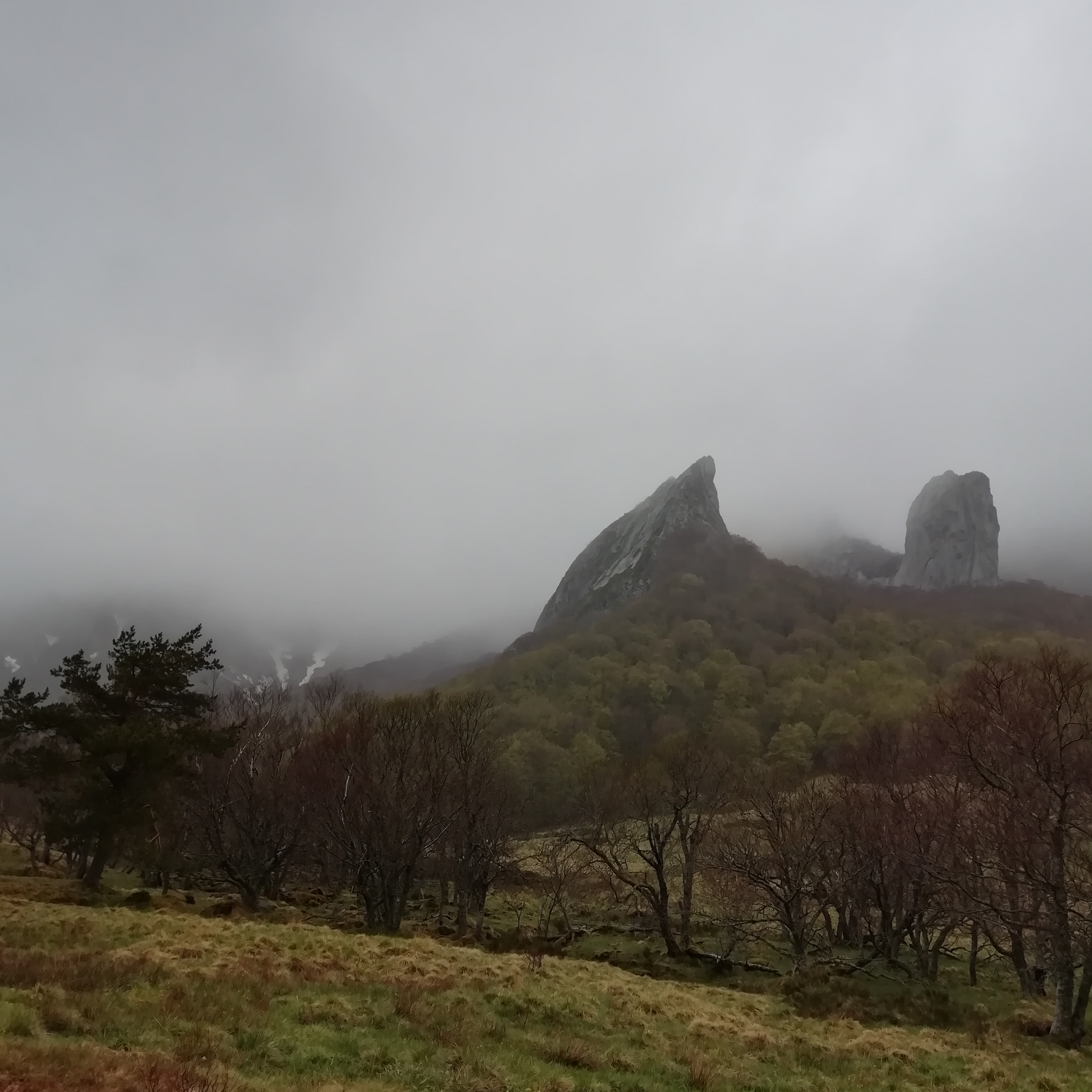 Photo n° 2 de l'avis de saux.o fait le 19/05/2019 à 14:55