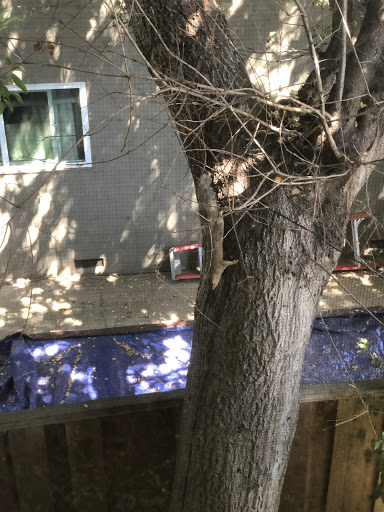 Fabric Store «Jo-Ann Fabrics and Crafts», reviews and photos, 75 Colma Blvd, Colma, CA 94014, USA