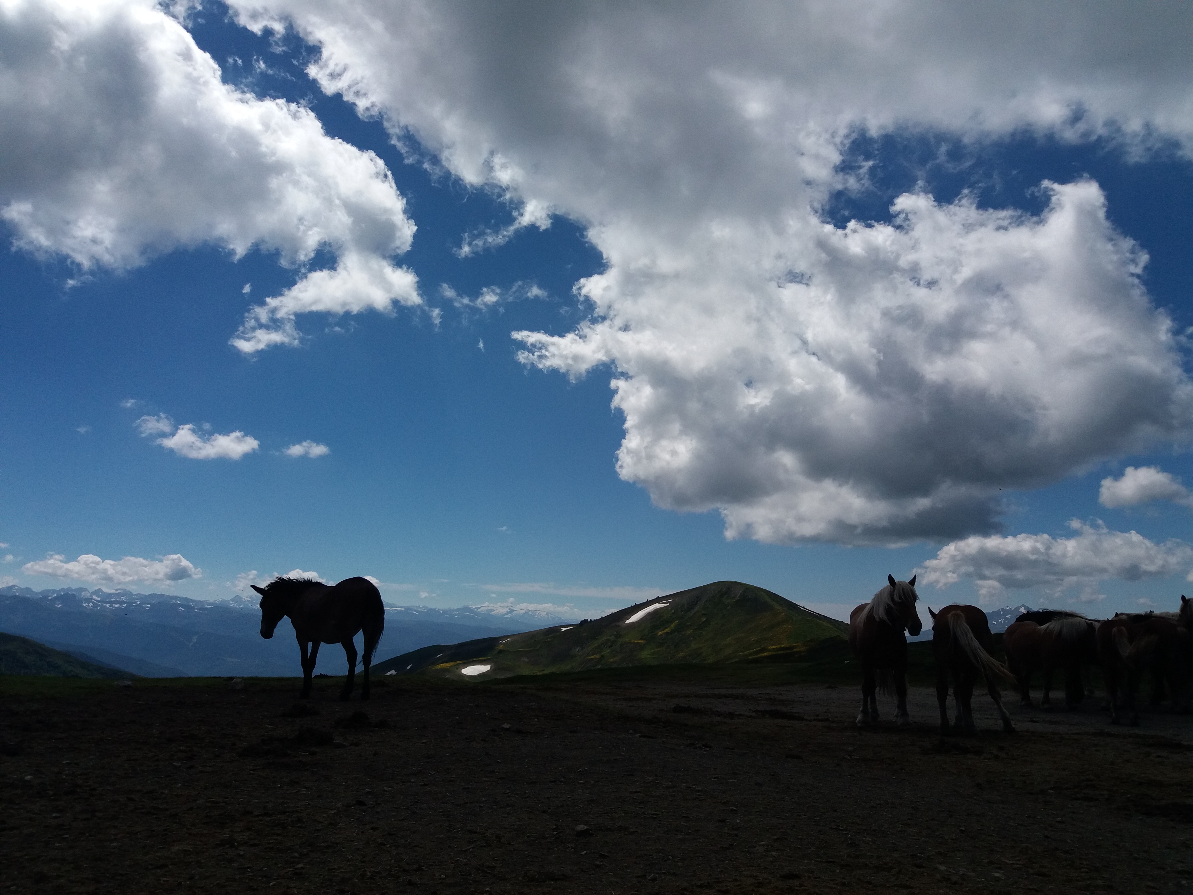 Photo n° 1 de l'avis de Jean.r fait le 09/08/2018 à 11:08