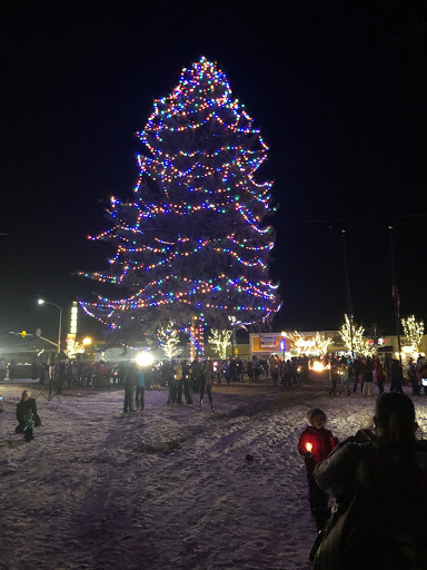 Insurance Agency «American Family Insurance - Timothy J Rosendahl Insurance Agenc», reviews and photos