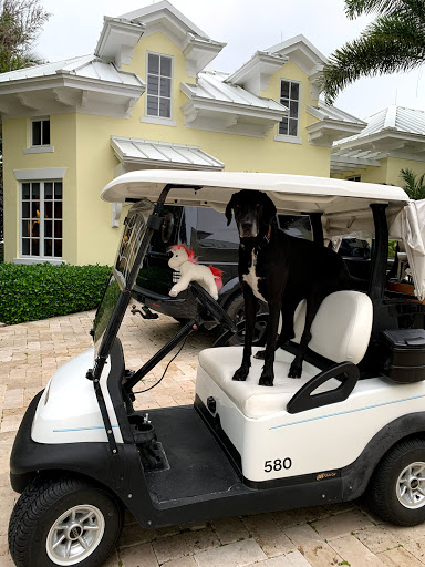 Jensen Beach Animal Hospital image