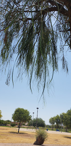 Park «La Paloma Park», reviews and photos, 6579 S Amanda Blvd, Chandler, AZ 85249, USA