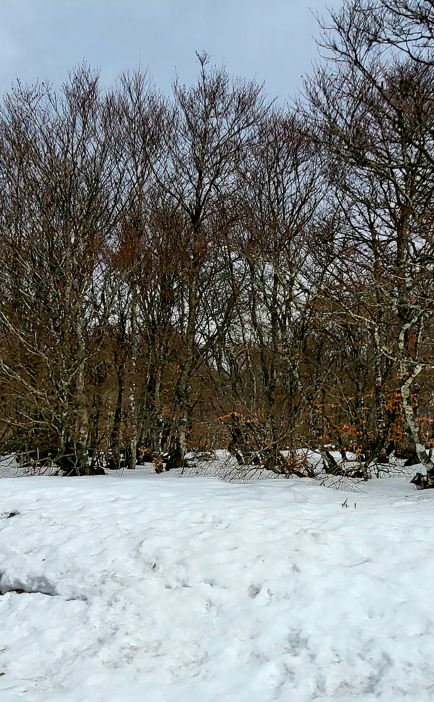 Photo n° 3 de l'avis de Stephane.t fait le 17/03/2024 à 15:46