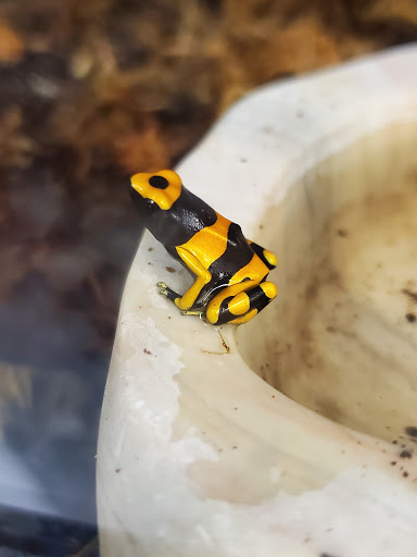 Pet Supply Store «Petco Animal Supplies», reviews and photos, 179 N Milwaukee St, Boise, ID 83704, USA