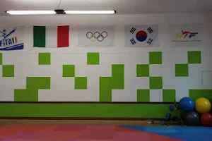 Centro Sportivo Eracle Centro Taekwondo Vittorio Veneto image