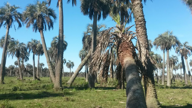 El Capricho Productos Artesanales - Tienda de ultramarinos