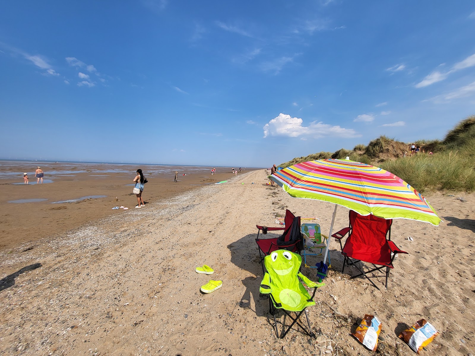 Talacre Plajı'in fotoğrafı vahşi alan