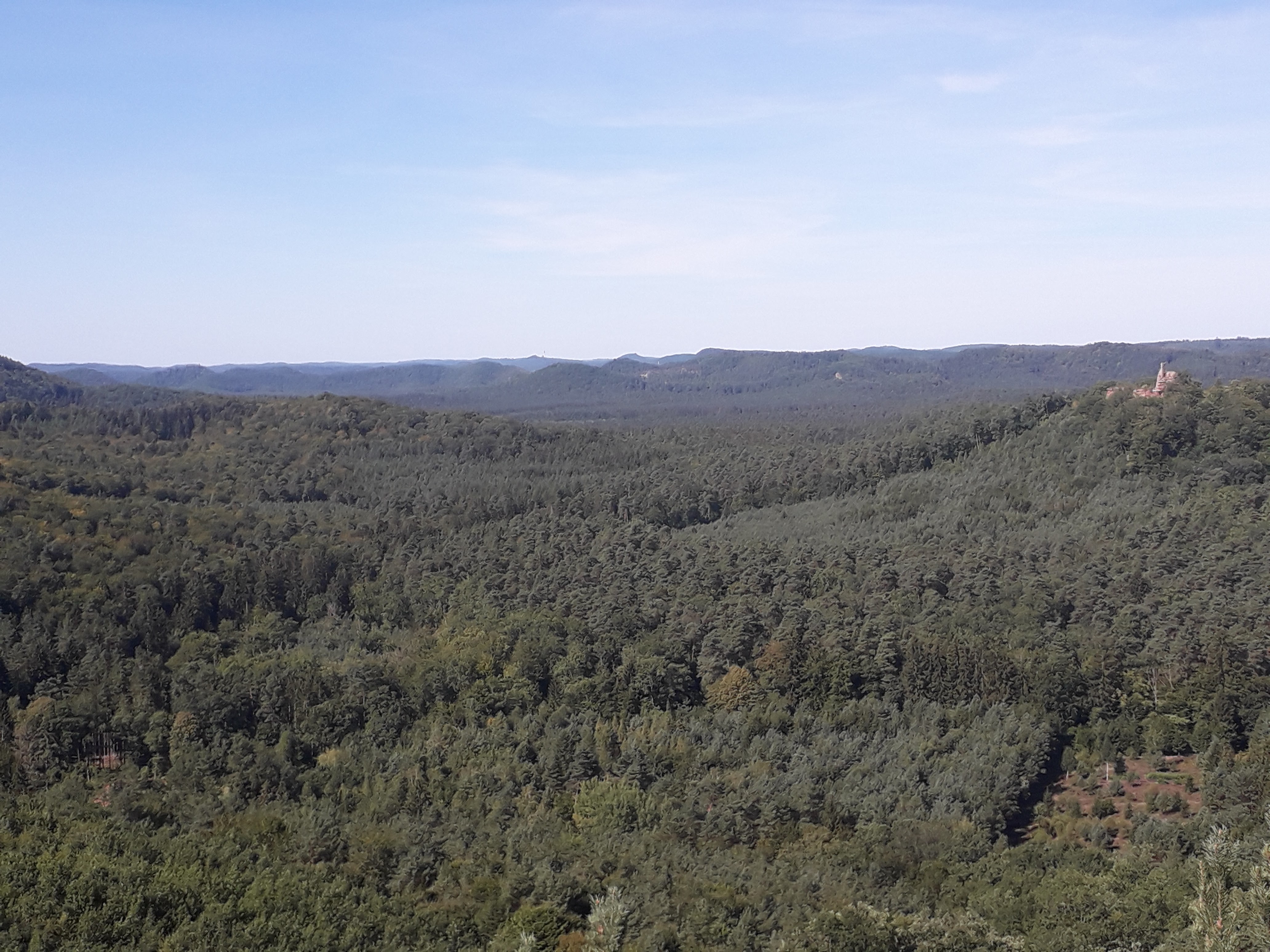 Photo n° 1 de l'avis de Dagmar. fait le 22/08/2018 à 17:26