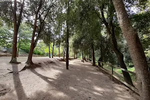 Parc dels Vegetals image