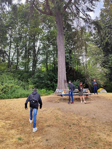 Park «Viretta Park», reviews and photos, 151 Lake Washington Blvd E, Seattle, WA 98112, USA