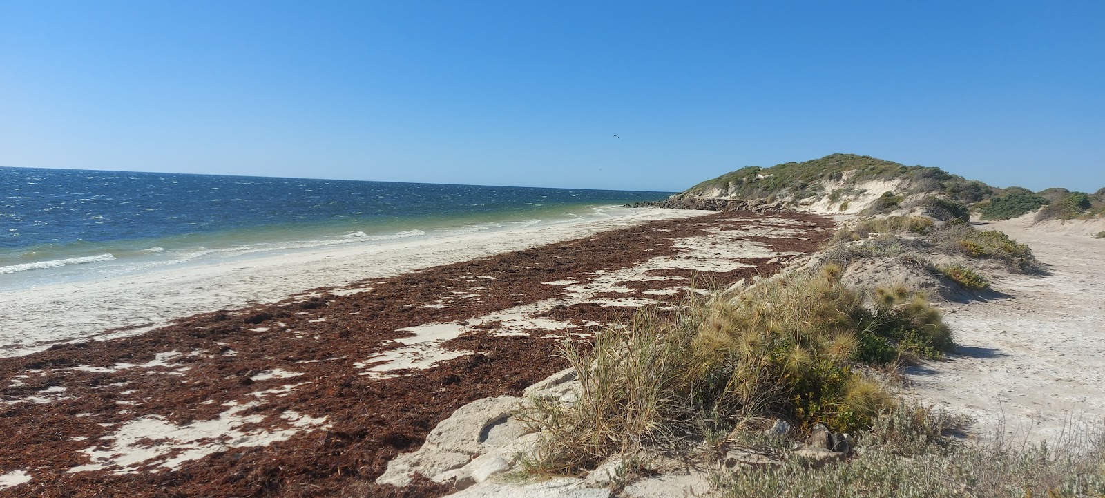 Fotografija Illawong Beach z dolga ravna obala