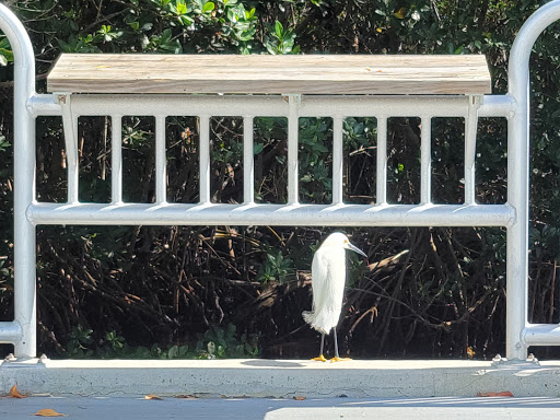 Wildlife Refuge «Ding Darling Wildlife Refuge», reviews and photos, 1 Wildlife Dr, Sanibel, FL 33957, USA