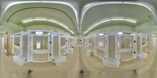 Kennel «Cedar Run Pet Boarding and Daycare», reviews and photos, 2705 Stonegate Ct, Hiawatha, IA 52233, USA