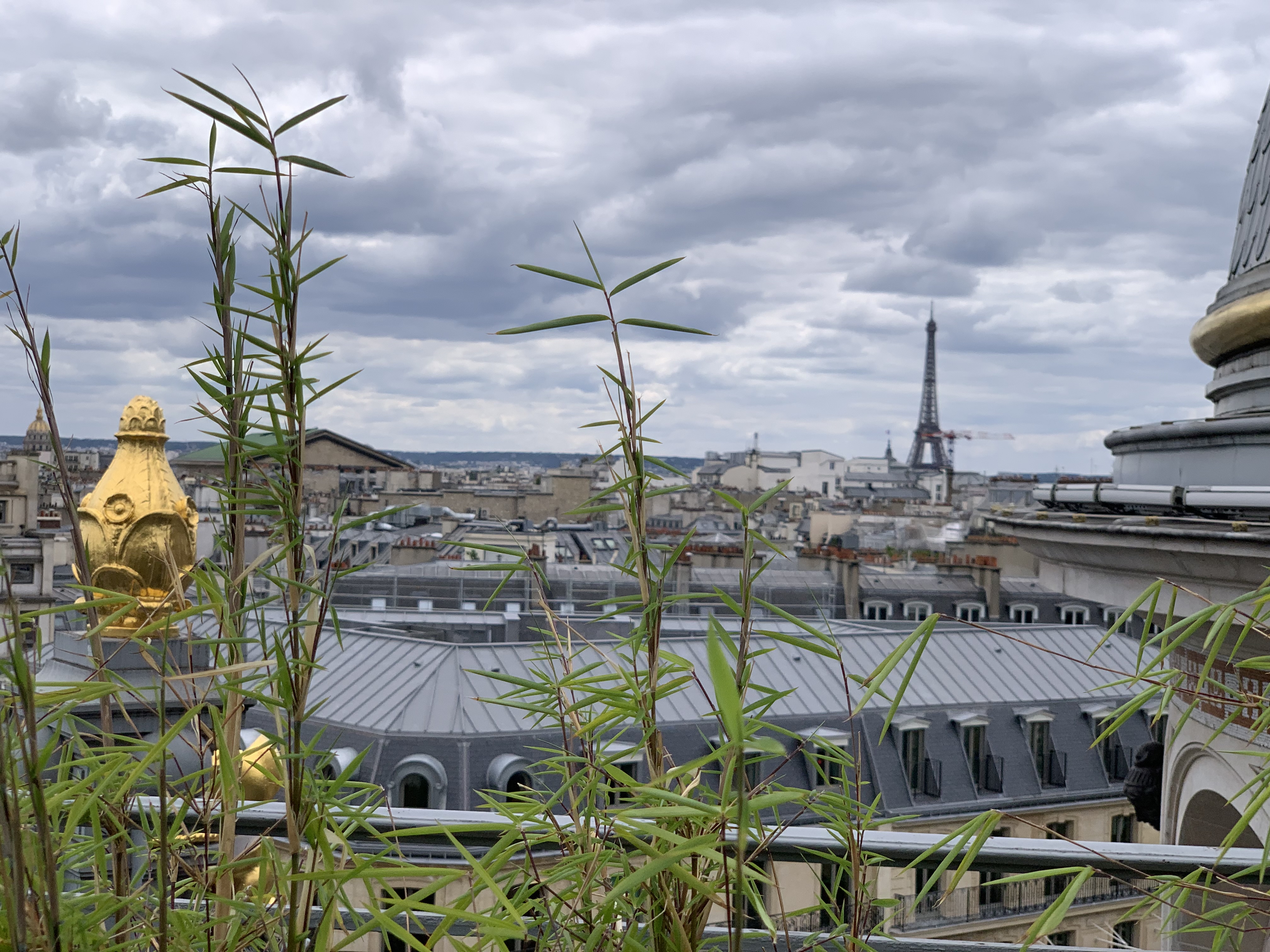 Photo n° 10 de l'avis de BA.C fait le 14/07/2023 à 15:54