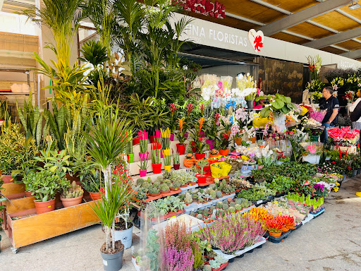 Mercados de flores Alicante