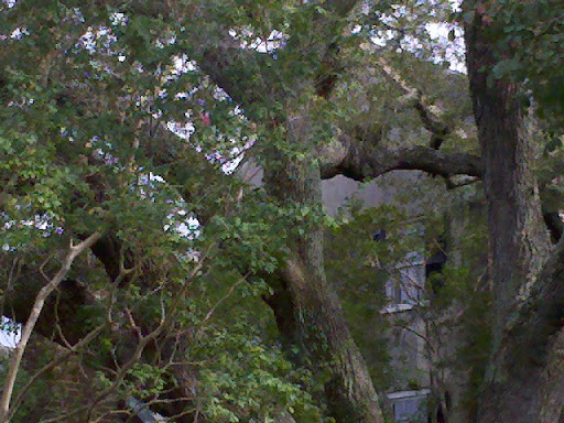 Museum «Heyward-Washington House», reviews and photos, 87 Church St, Charleston, SC 29403, USA