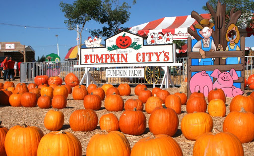Pumpkin City