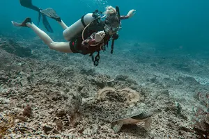 Blue Marine Dive Trawangan image