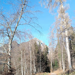 Photo n°4 de l'avis de laura.a fait le 08/01/2024 à 06:15 sur le  Rifugio San Pietro à Tenno