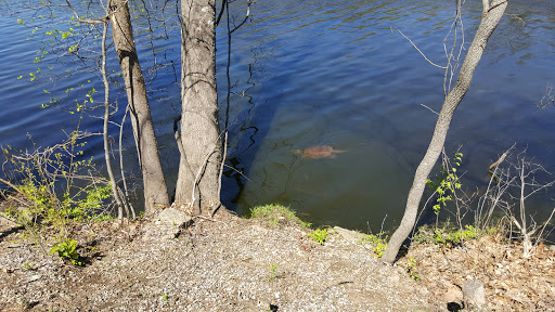 Radnor Lake State Park