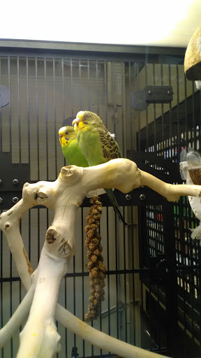 Pet Supply Store «PetSmart», reviews and photos, 625 W Crossville Rd, Roswell, GA 30075, USA