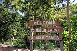 Nuluh Lapai Jungle Trails image