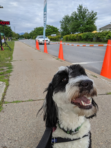 Outlet Mall «Essex Outlets & Cinemas», reviews and photos, 21 Essex Way, Essex Junction, VT 05452, USA