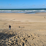 Photo n° 2 de l'avis de Mastino.a fait le 21/11/2022 à 18:12 pour Plage de Wissant à Wissant