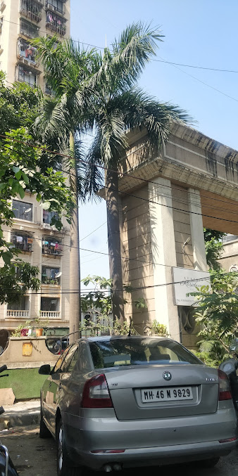 Google Maps image 20