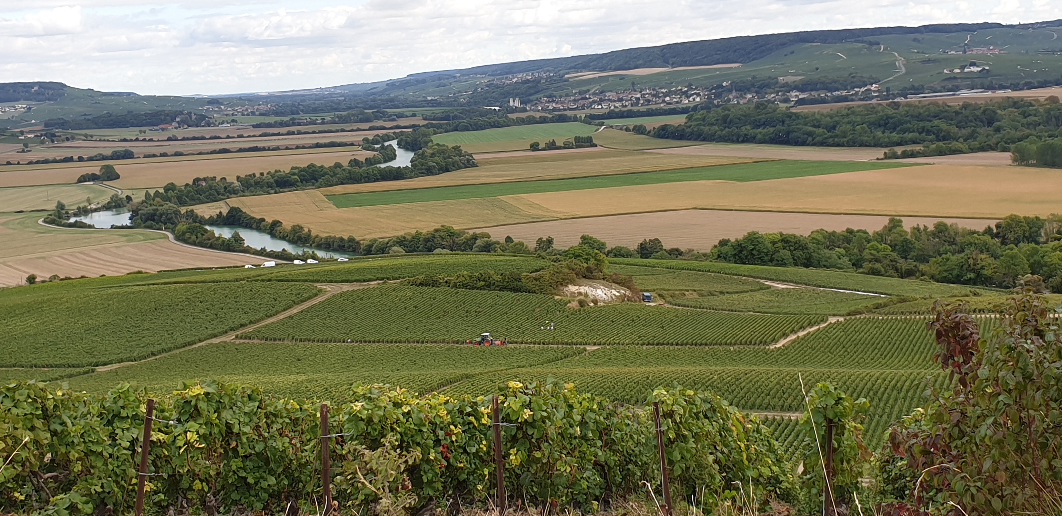Photo n° 2 de l'avis de Eric.i fait le 10/07/2019 à 05:44