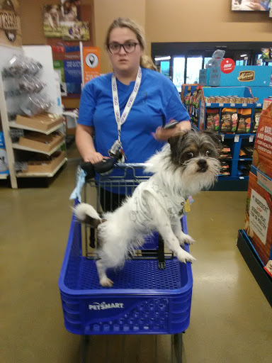 Shopping Mall «Sussex County Mall», reviews and photos, 15 Hampton House Rd, Newton, NJ 07860, USA