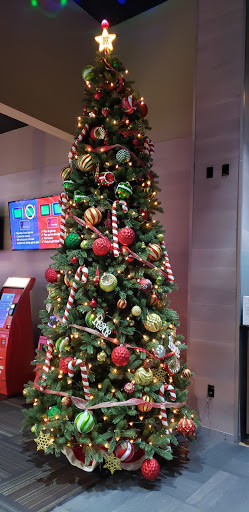 Amusement Center «GameTime Fort Myers», reviews and photos, 10037 Gulf Center Dr, Fort Myers, FL 33913, USA