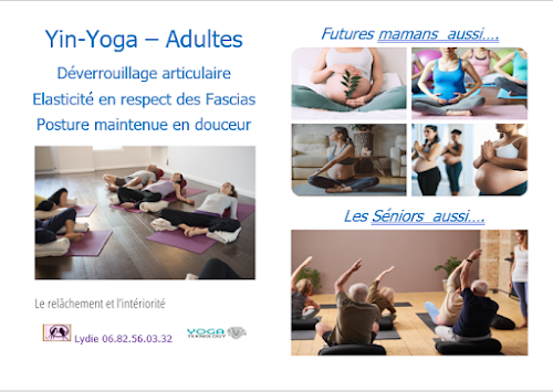 Centre de yoga Yoga-Arles-Monplaisir Arles