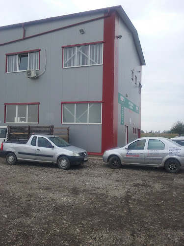 Service Auto Nelundis, Braila - Service auto