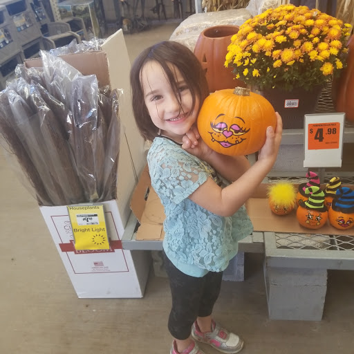 Home Improvement Store «The Home Depot», reviews and photos, 68 E Thompson Pl, Monticello, NY 12701, USA