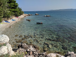 Drasnice East area FKK'in fotoğrafı vahşi alan