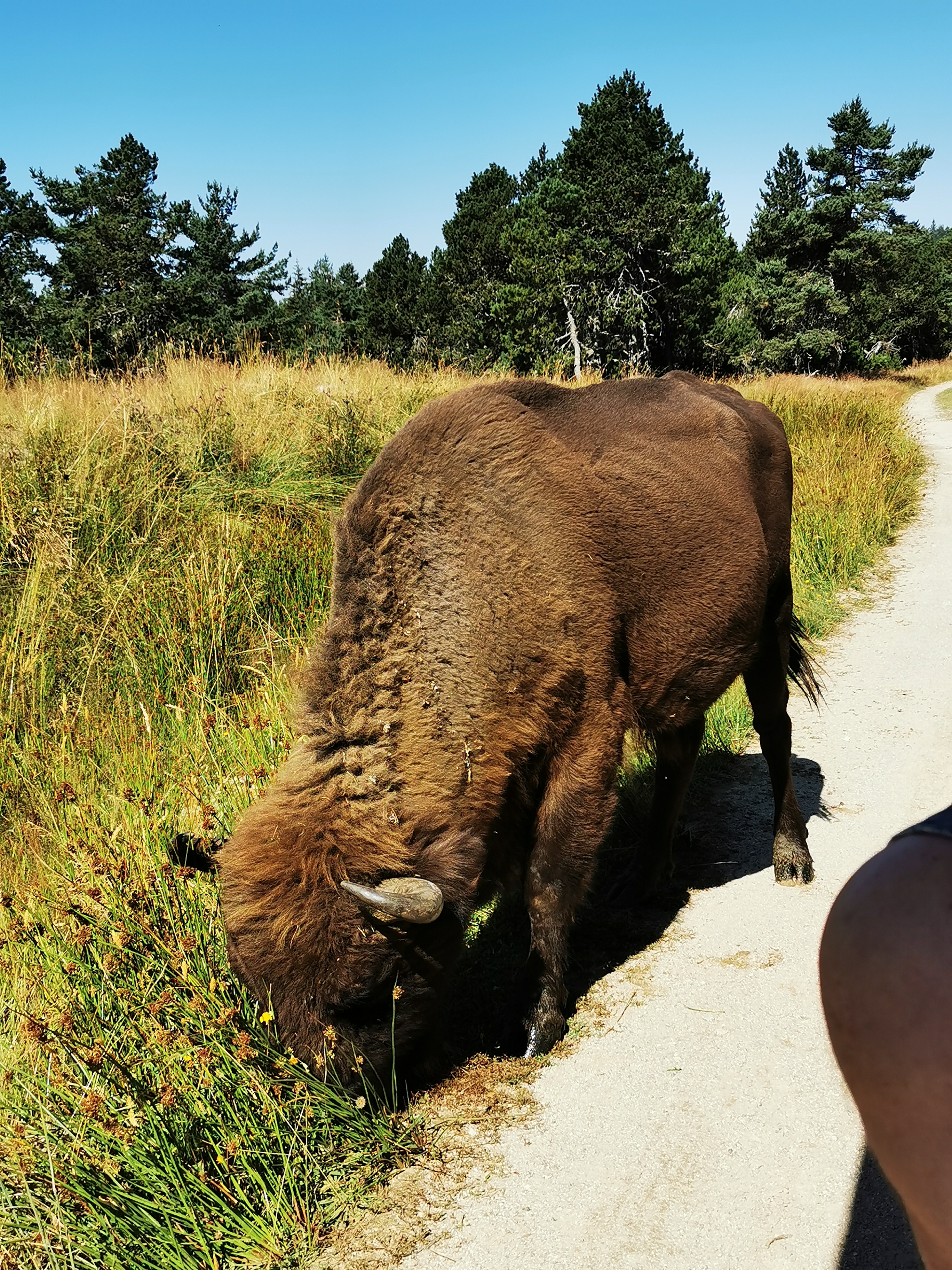 Photo n° 2 de l'avis de Léa.i fait le 02/08/2020 à 10:00