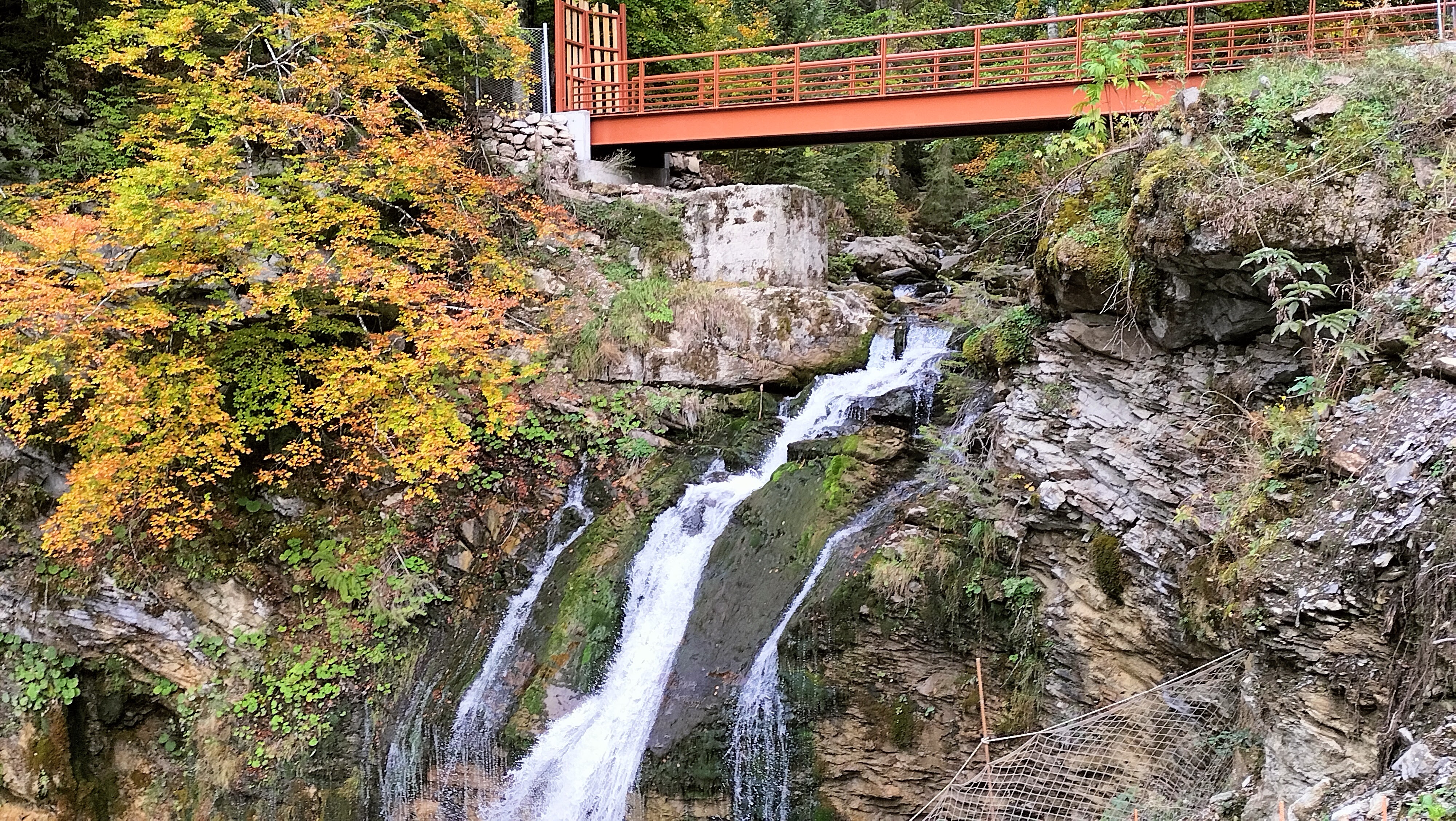 Photo n° 1 de l'avis de marlene.o fait le 21/10/2023 à 10:49