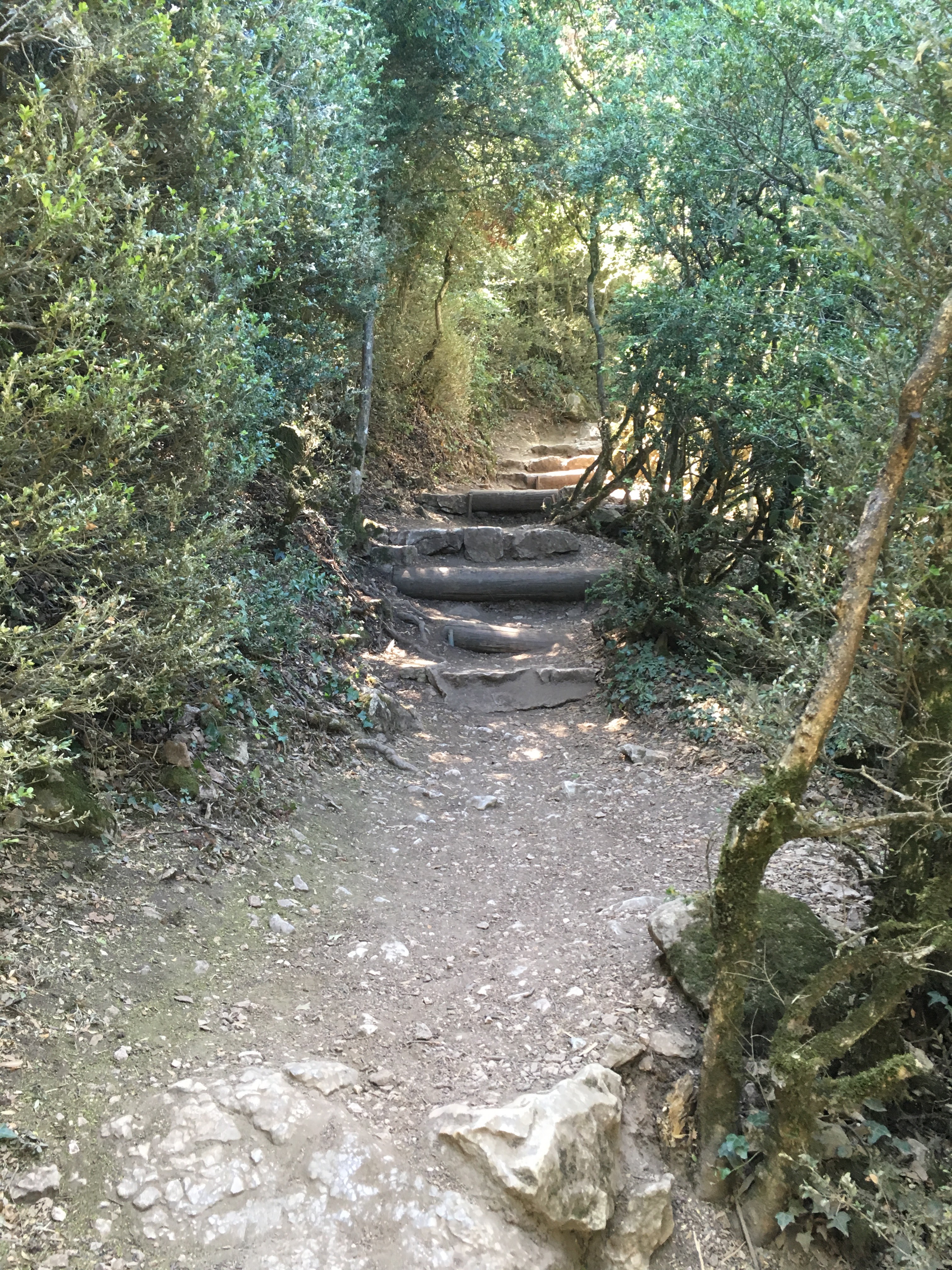 Photo n° 38 de l'avis de Guillaume. fait le 14/08/2019 à 18:59