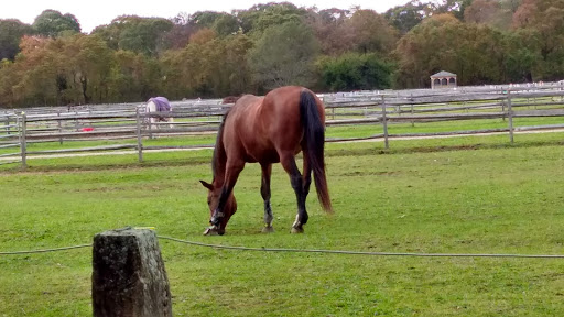 Park «Caumsett State Park», reviews and photos, 25 Lloyd Harbor Rd, Lloyd Harbor, NY 11743, USA