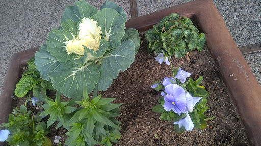 Hair Salon «Great Clips», reviews and photos, 393 Del Monte Center, Monterey, CA 93940, USA