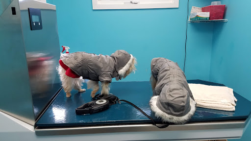 Pet Store «Island Dog», reviews and photos, 410 Mallery St, Saint Simons Island, GA 31522, USA