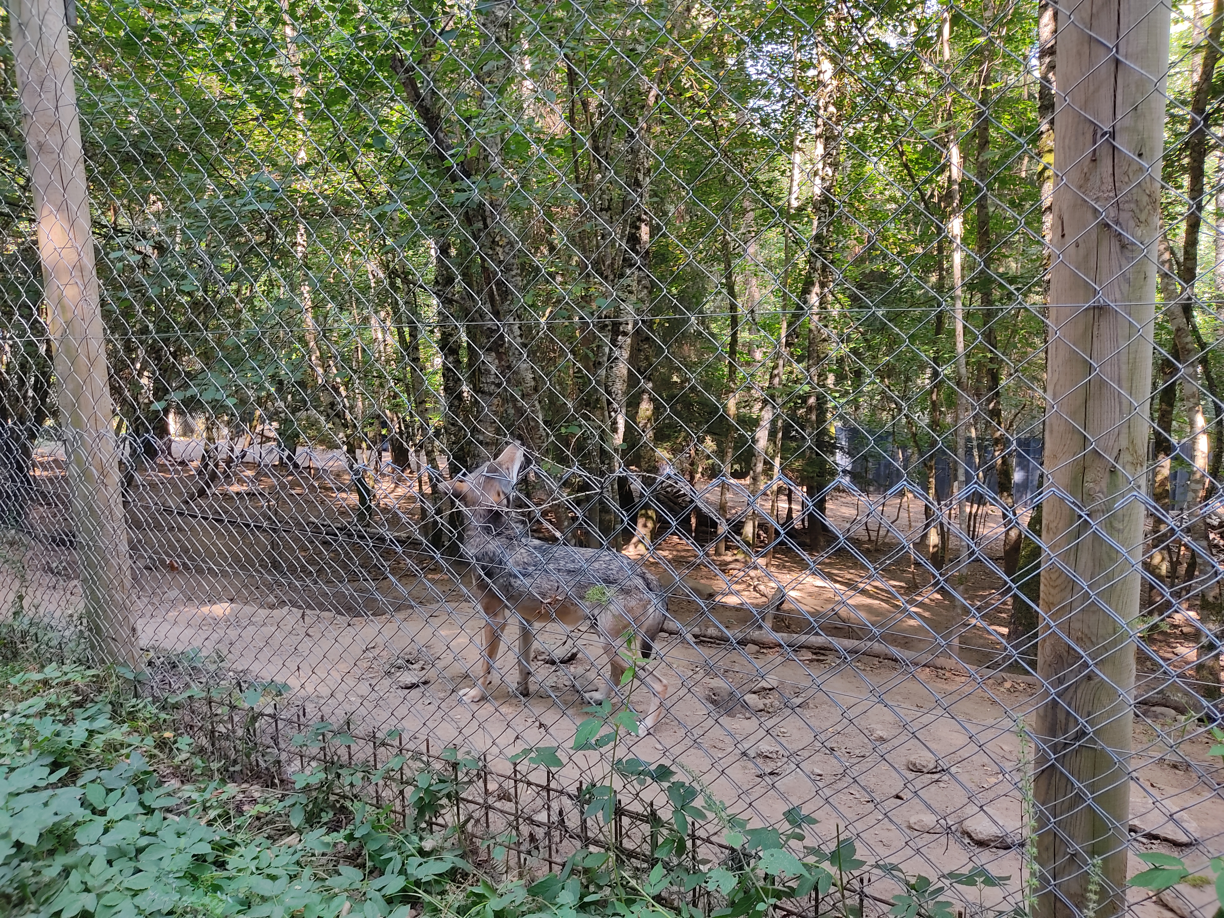 Photo n° 7 de l'avis de Delphine.e fait le 17/08/2022 à 19:26