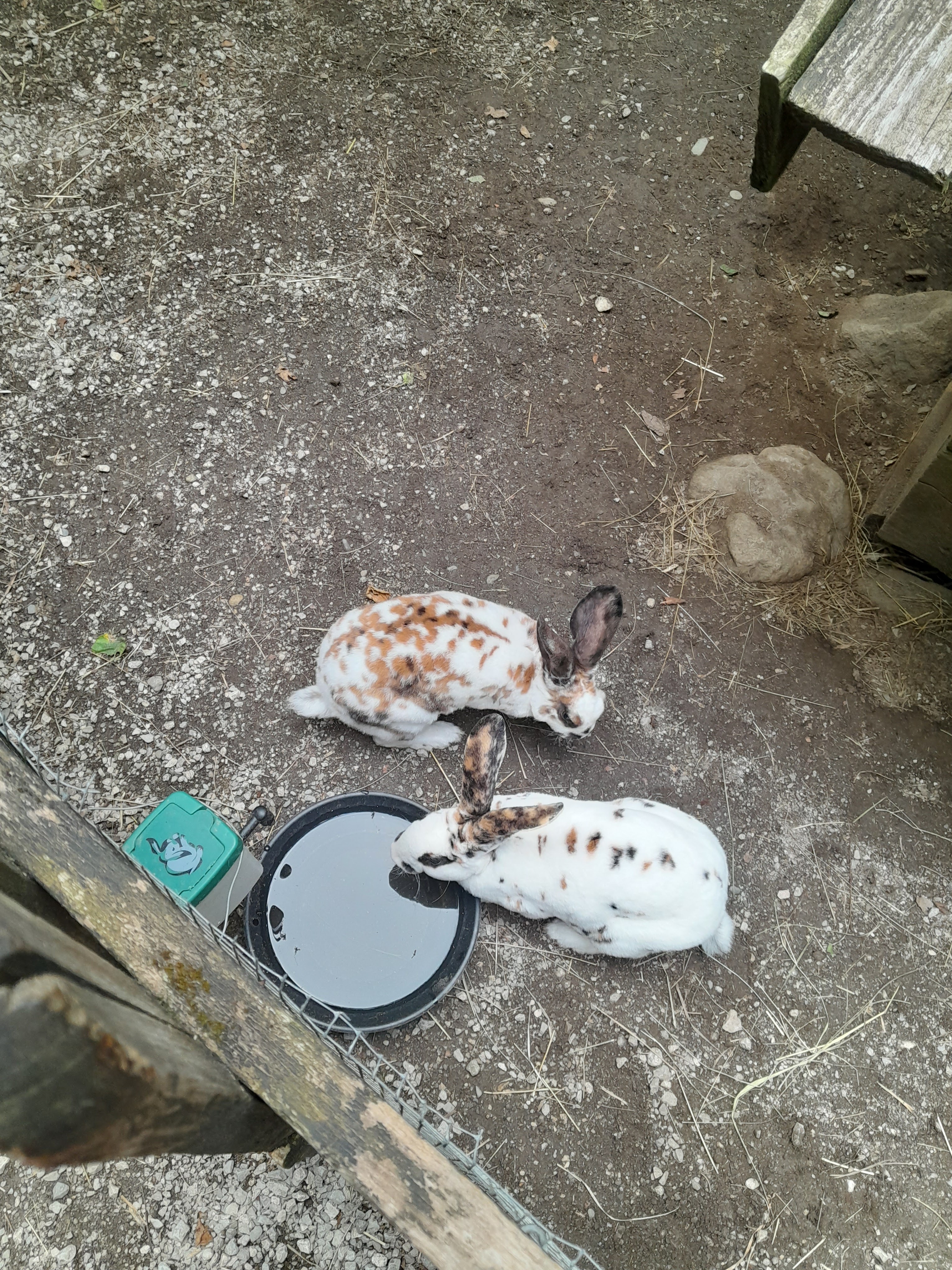 Photo n° 2 de l'avis de Nessy.O fait le 16/08/2022 à 12:33